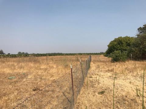 Undisclosed, Lodi, CA 95240 photo 36