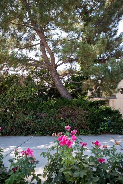 3307 Fogle Ct, Carmichael, CA 95608 photo 35
