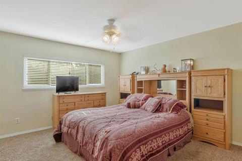388 Almond Ct, Ripon, CA 95366 photo 24