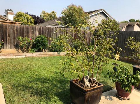 717 Cedar Flat Ave, Galt, CA 95632 photo 10