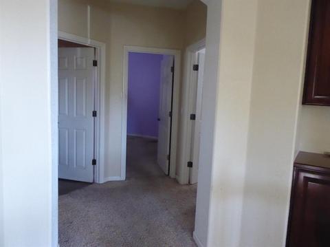 1693 Cache Ave, Manteca, CA 95337 photo 19