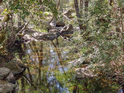 20607 Mccourtney Rd, Grass Valley, CA 95949 photo 31