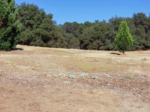 20607 Mccourtney Rd, Grass Valley, CA 95949 photo 34