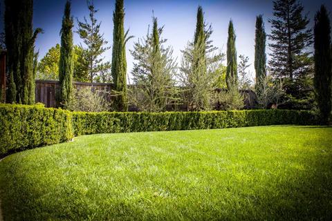 1737 N Ripon Rd, Ripon, CA 95366 photo 24