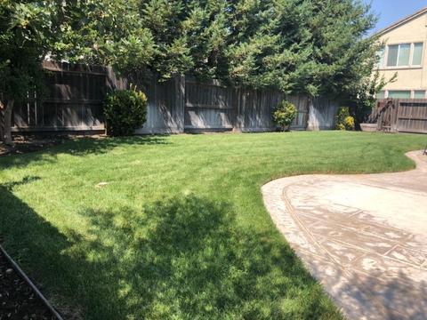 1233 N Acacia Ave, Ripon, CA 95366 photo 20