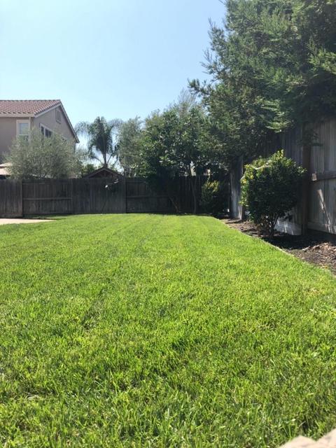 1233 N Acacia Ave, Ripon, CA 95366 photo 21