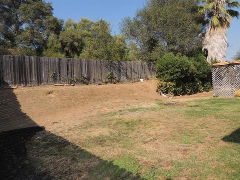 6345 Eldon Ave, Loomis, CA 95650 photo 22