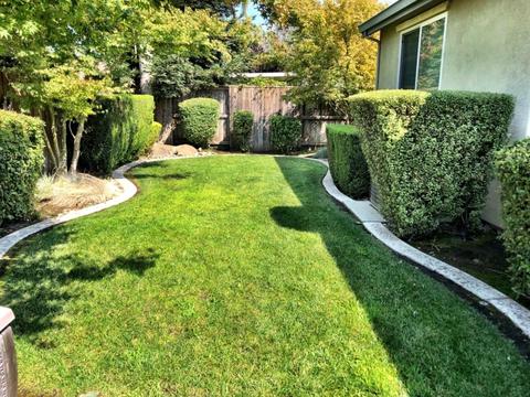 2345 Mills, Lodi, CA 95242 photo 27