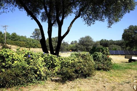 2763 Penryn Rd, Penryn, CA 95663 photo 26