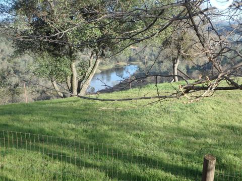 4381 Hillock Dr, Placerville, CA 95667 photo 32