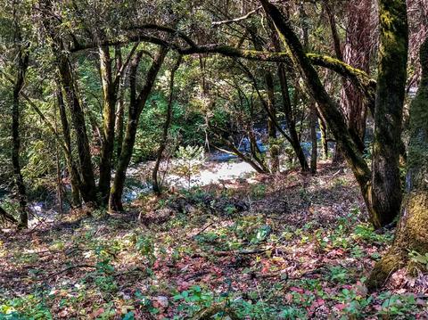 112 Buckingham Ct, Grass Valley, CA 95949 photo 31