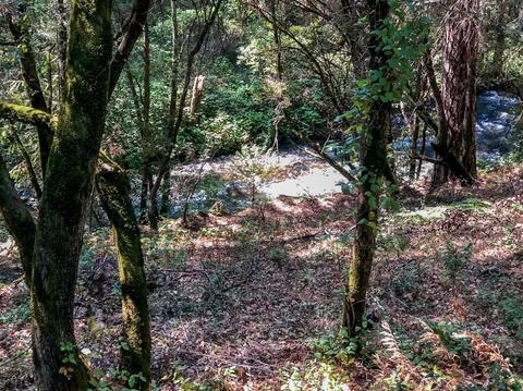 112 Buckingham Ct, Grass Valley, CA 95949 photo 30