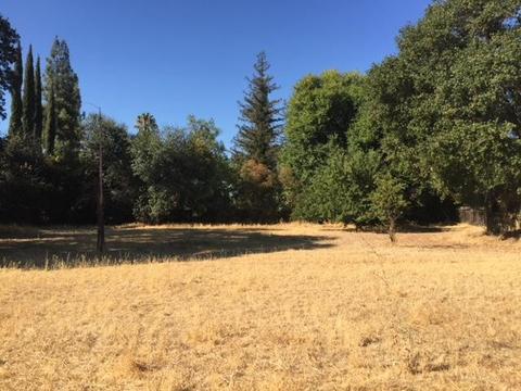 2813 Root Ave, Carmichael, CA 95608 photo 2