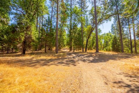 5530 Saw Mill Rd, Placerville, CA 95667 photo 27