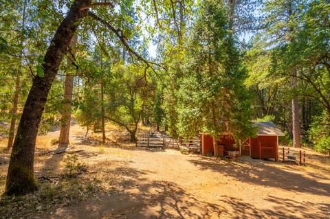 5530 Saw Mill Rd, Placerville, CA 95667 photo 24