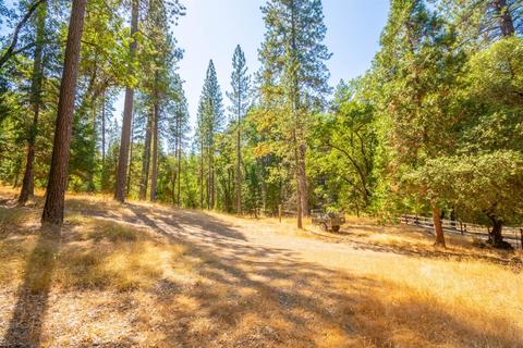 5530 Saw Mill Rd, Placerville, CA 95667 photo 28