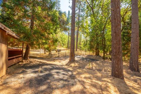 5530 Saw Mill Rd, Placerville, CA 95667 photo 26
