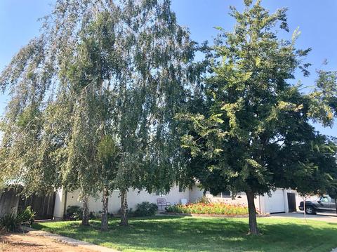 225 Flores, Manteca, CA 95336 photo 22