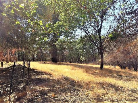 1308 Spink Rd, West Point, CA 95255 photo 32