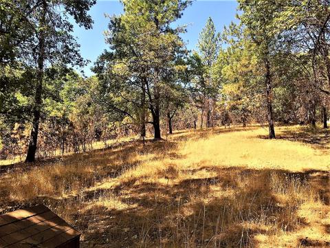 1308 Spink Rd, West Point, CA 95255 photo 30