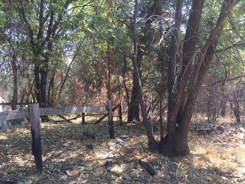 1308 Spink Rd, West Point, CA 95255 photo 28