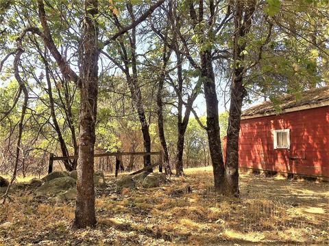 1308 Spink Rd, West Point, CA 95255 photo 25