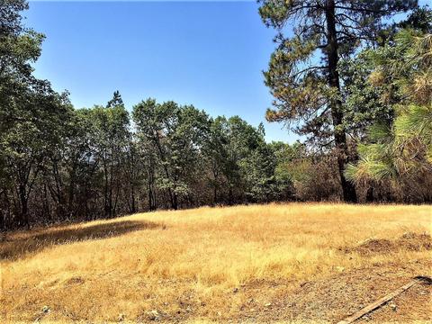 1308 Spink Rd, West Point, CA 95255 photo 27
