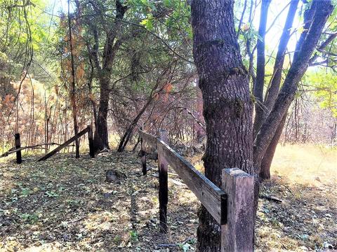 1308 Spink Rd, West Point, CA 95255 photo 34
