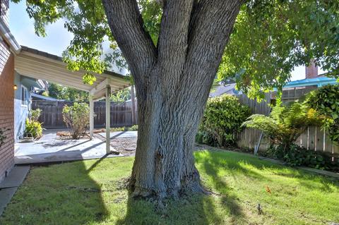 2148 Debbie Ln, Lodi, CA 95242 photo 22