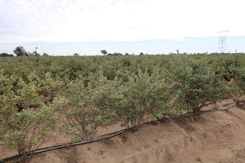 5288 W Kile Rd, Lodi, CA 95242 photo 20