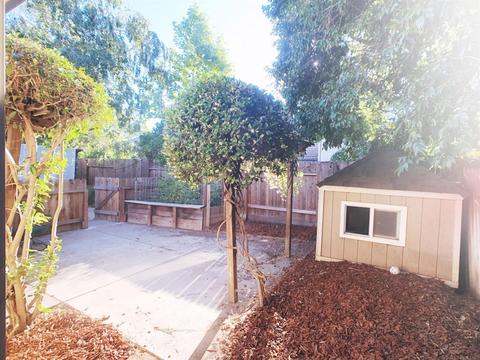 824 La Coruno St, Davis, CA 95618 photo 15
