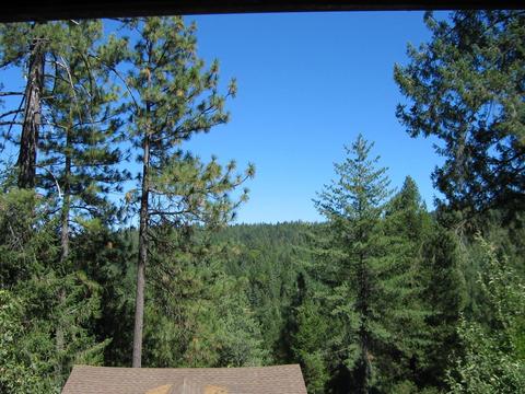 6904 Goferbroke Rd, Georgetown, CA 95634 photo 4