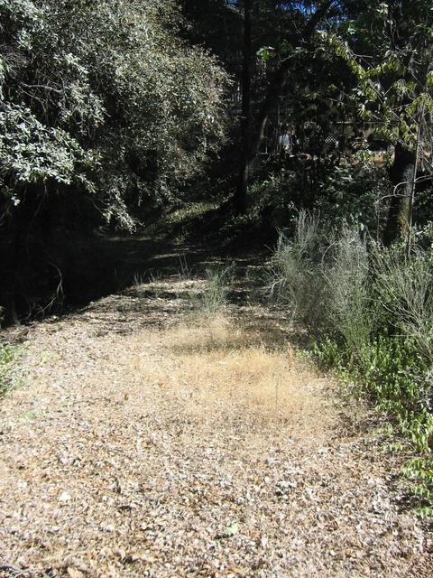 6904 Goferbroke Rd, Georgetown, CA 95634 photo 27