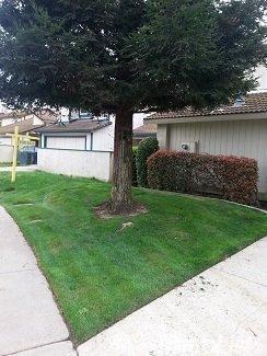 3404 Perisburg, Ceres, CA 95307 photo 4