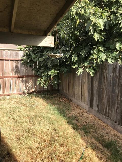 1920 Rose Ave, Modesto, CA 95355 photo 5