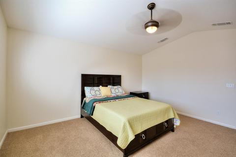 76 Magnetite Ave, Lathrop, CA 95330 photo 20