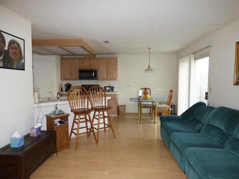 8611 Hackmore Ct, Antelope, CA 95843 photo 6