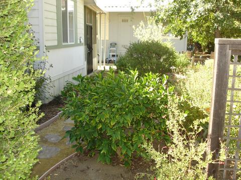70 Broken Cir, Davis, CA 95618 photo 25