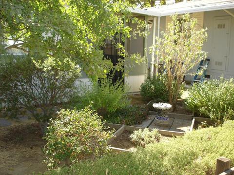 70 Broken Cir, Davis, CA 95618 photo 24