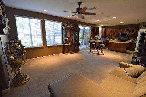 20851 Grapevine Dr, Patterson, CA 95363 photo 5