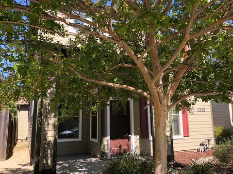 2335 Glacier Pl, Davis, CA 95616 photo 2