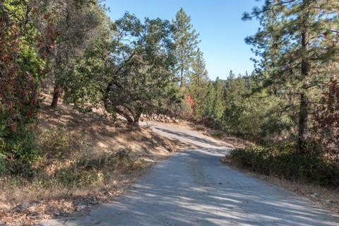 3625 Sluice Box Rd, Placerville, CA 95667 photo 32