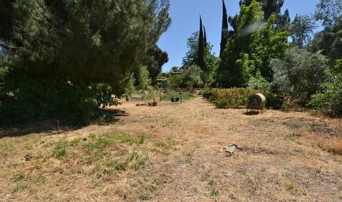 825 River Rd, Modesto, CA 95351 photo 17