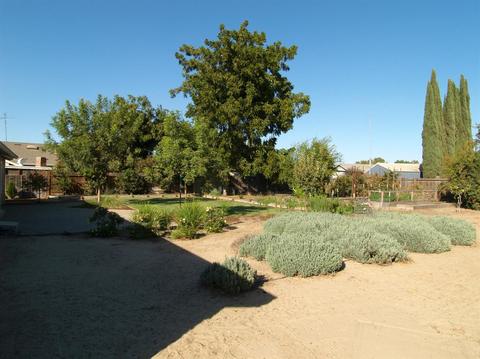 7904 Cedar Ln, Hilmar, CA 95324 photo 30