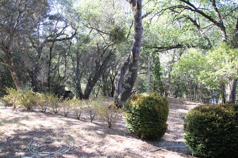 659 Boole Rd, Applegate, CA 95703 photo 22