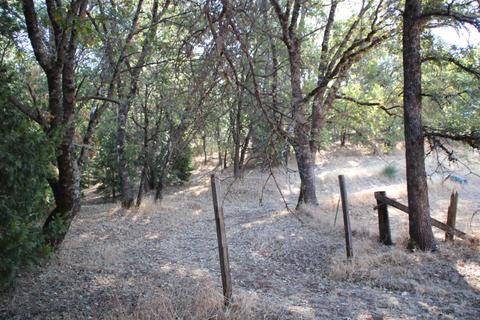 659 Boole Rd, Applegate, CA 95703 photo 19