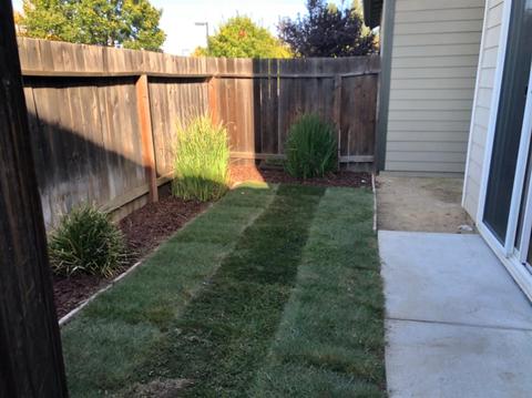 2339 Glacier Pl, Davis, CA 95616 photo 36