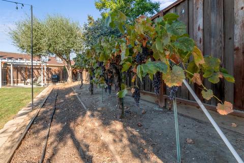 1945 Pheasant Run Ct, Tracy, CA 95376 photo 26