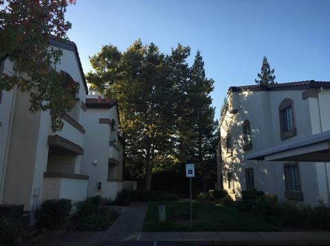 8020 Walerga Rd #1053, Antelope, CA 95843 photo 2