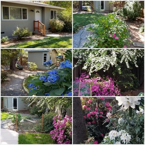 4729 Oak Hill Rd, Placerville, CA 95667 photo 21